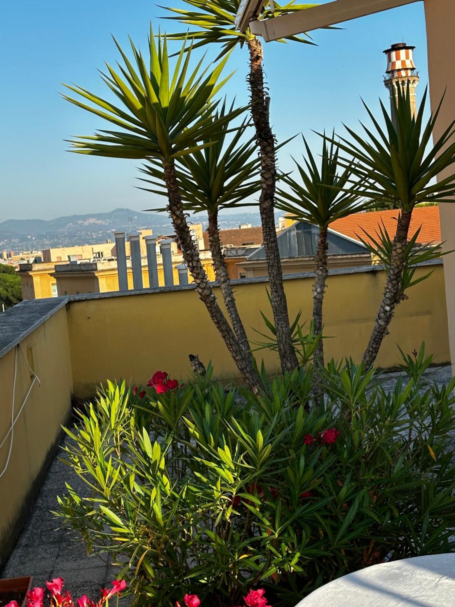 All Comfort Astoria Palace Roma Exterior foto